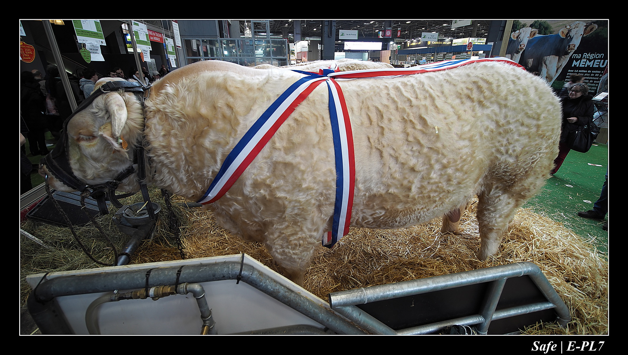 2020 - 02 - Salon agriculture 55